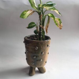 Plant Pots & Vases